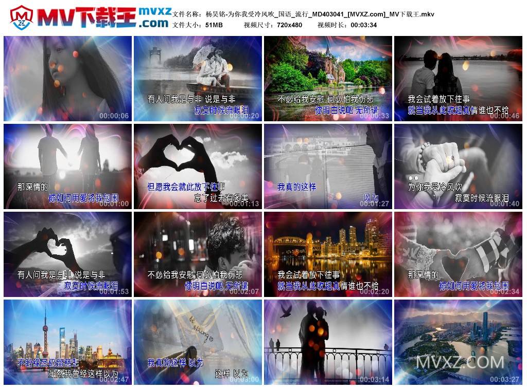 杨昊铭-为你我受冷风吹_国语_流行_MD403041